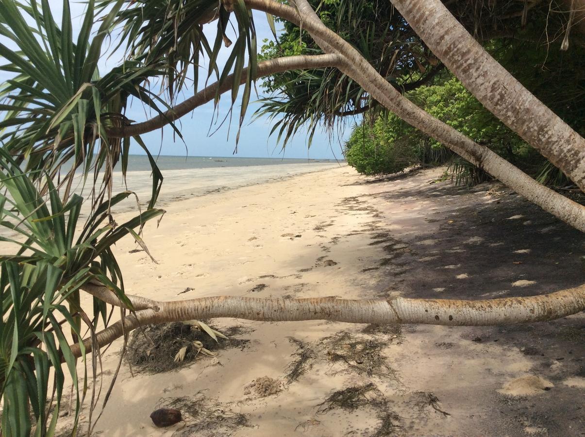Pangani Peponi Beach Resort المظهر الخارجي الصورة