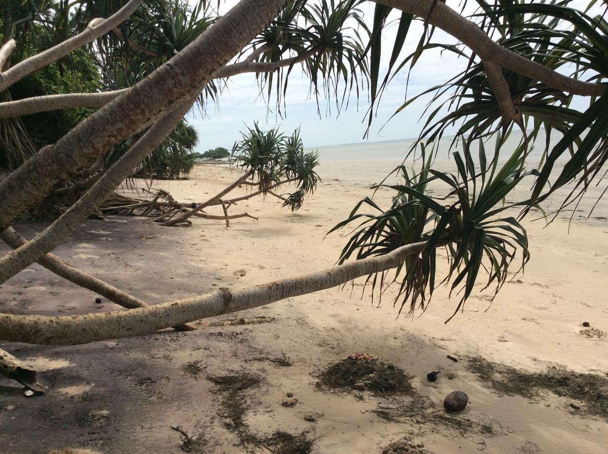 Pangani Peponi Beach Resort المظهر الخارجي الصورة