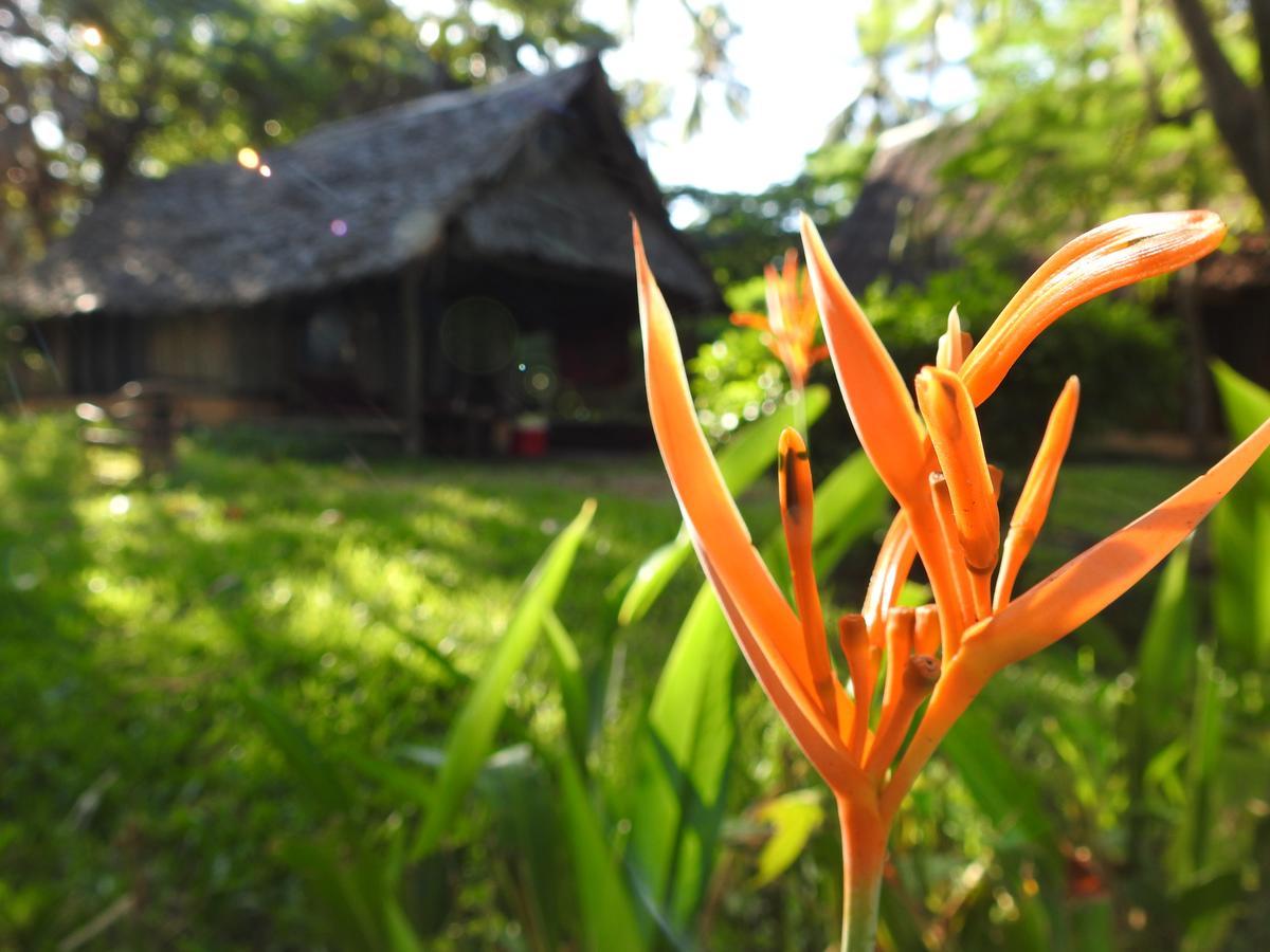 Pangani Peponi Beach Resort المظهر الخارجي الصورة
