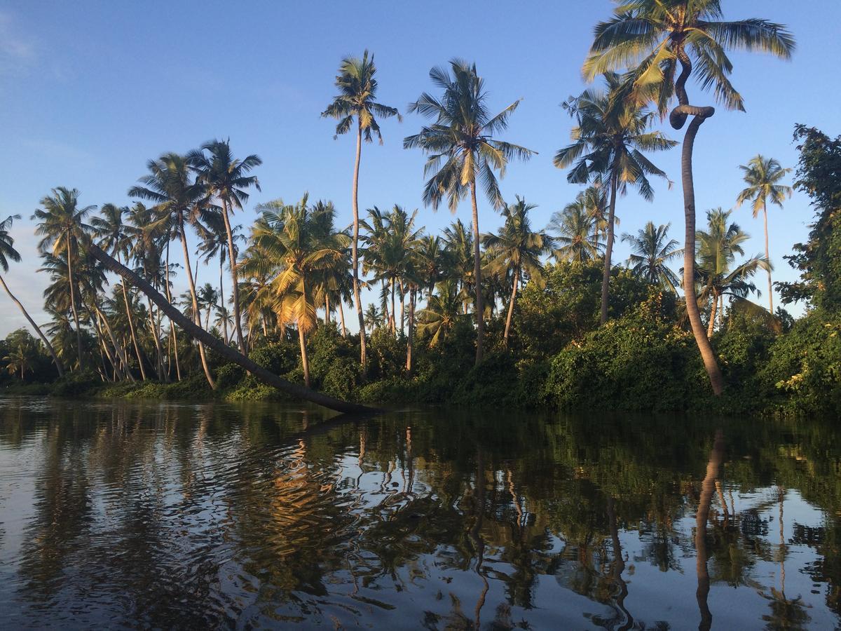 Pangani Peponi Beach Resort المظهر الخارجي الصورة