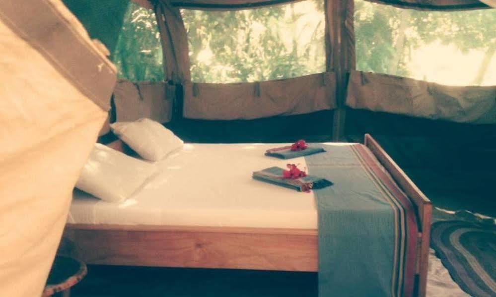 Pangani Peponi Beach Resort المظهر الخارجي الصورة