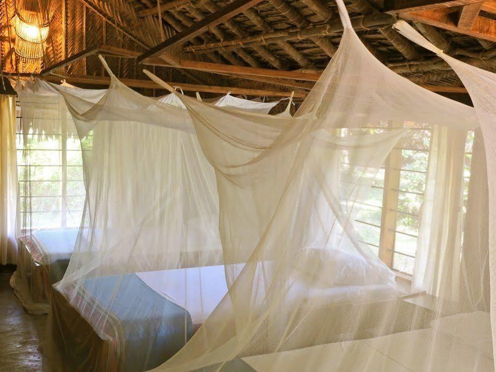 Pangani Peponi Beach Resort المظهر الخارجي الصورة